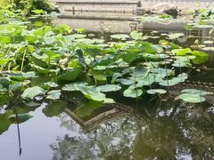-乾园.魏庐湖景餐厅(花港店)