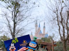 -上海迪士尼度假区