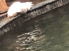 -龙达温泉生态城