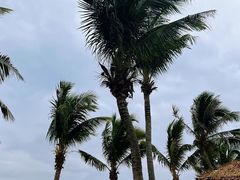 -玫瑰海岸文化旅游度假区