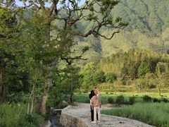 -塔川景区
