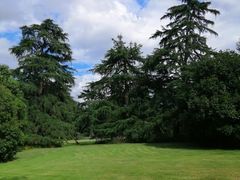 -西湖外事游船(花港观鱼码头)