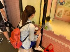 -猫咪博物馆(顶澳仔猫街店)