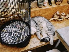 -拾壹cafe·工作室