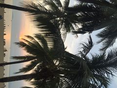 iphone_upload_pic-三亚亚龙湾凯莱仙人掌度假酒店