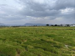 -喜林苑·稻田餐厅(品相府店)