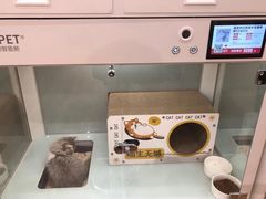 -SFC上影影城(北京大兴龙湖天街IMAX店)