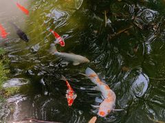 -广州兰圃
