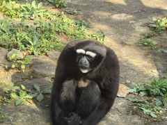-昆明动物园