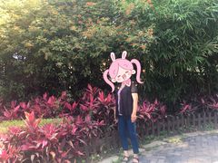 -胡里山炮台
