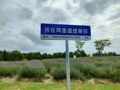 -同里国家湿地公园