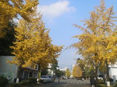 -四川大学(望江校区)