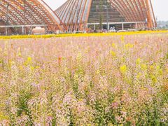 -中国天府农业博览园