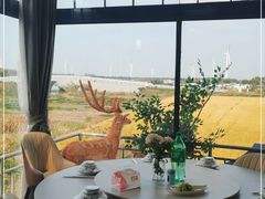 -莲花岛景区