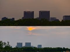 -春花秋色城市公园