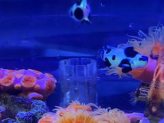 -海合安青岛极地海洋公园