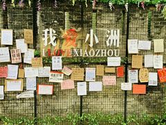 -小洲村