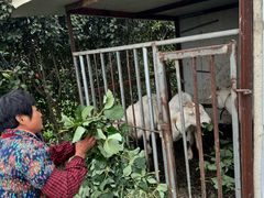 -小鱼草莓采摘园农家乐·小鱼餐厅