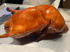 -阿庄新豫菜(航海东路店)