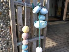 -枸杞岛