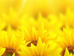 -萨莉亚意式餐厅(天河城购物中心店)