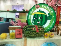 -西瓜小镇