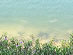 -广东花都湖国家湿地公园