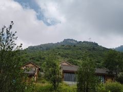 -王莽岭风景区