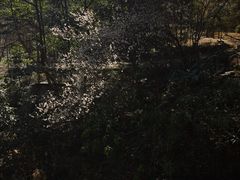 -黄公望隐居地