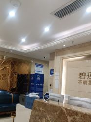 -碧莲盛·不剃发植发