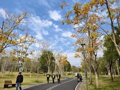 -牛岗山公园