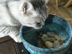 -不舍昼夜咖啡馆