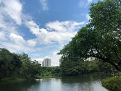 -晓港公园