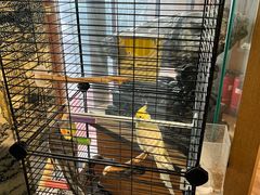 -阜昌典当行(阜成门店)