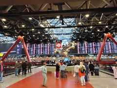 -谢列梅捷沃国际机场