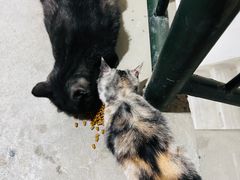 -天毓山庄·餐厅