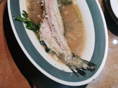 -前海沿·青岛菜(大拇指广场石老人店)