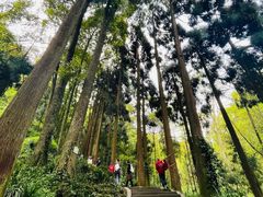 -青城山