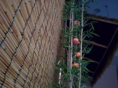 -秘境影院式酒店(苏州平江万达广场店)