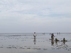 -南汇嘴观海公园