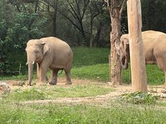 -北京野生动物园