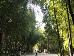 -同里国家湿地公园