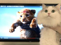 -阿甘锅盔(合生汇购物中心店)
