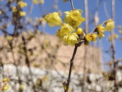 -齐月岐山面馆(朝阳大街店)