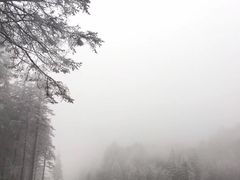 -硗碛藏寨·神木垒景区