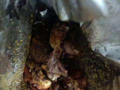 -九多肉多(王城路店)