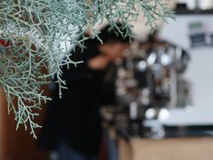 -纽巷咖啡 SOFTFOCUS COFFEE(锦和巴黎时韵店)