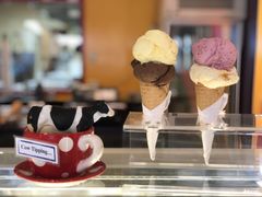 -Dooley's Premium Ice Cream