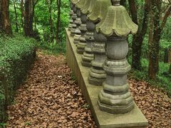 -雨花胜境
