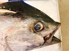 -麦德龙(郑东店)